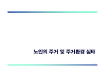 [사회복지] 노인 주거 복지 제고 정책방안-5