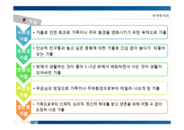 [청소년복지] 가출 청소년 실태와 대책-5
