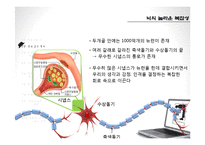 [인문학] 도서 `생각하지 않는 사람들` 속 문화와 미디어 고찰-14