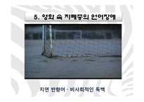 [국어국문학] 영화를 통해 알아 본 언어장애-`말아톤`의 `초원`-15