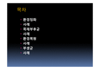 [생물학] 균류를 이용한 환경정화 사례-2