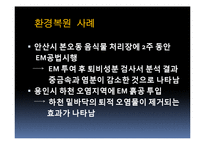 [생물학] 균류를 이용한 환경정화 사례-14