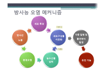 [환경학] 방사능 오염과 해결방안-11