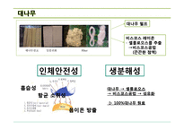 [의상학] 에코, 그린 트랜드와 친환경적 패션 경향-8