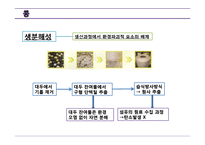 [의상학] 에코, 그린 트랜드와 친환경적 패션 경향-12