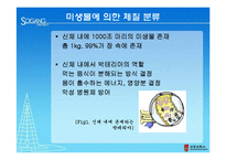 [생물학] 미생물에 따른 체질 분류의 활용과 한계-5