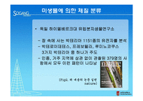 [생물학] 미생물에 따른 체질 분류의 활용과 한계-7
