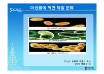 [생물학] 미생물에 따른 체질 분류의 활용과 한계-8