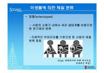 [생물학] 미생물에 따른 체질 분류의 활용과 한계-10