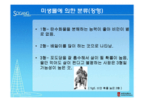 [생물학] 미생물에 따른 체질 분류의 활용과 한계-11
