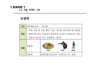[생명과학] 화석으로 확인가능한 고대 생물의 종류와 현생 동식물간의 유연관계-9