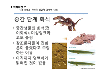 [생명과학] 화석으로 확인가능한 고대 생물의 종류와 현생 동식물간의 유연관계-14