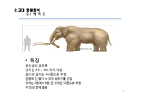 [생명과학] 화석으로 확인가능한 고대 생물의 종류와 현생 동식물간의 유연관계-17