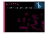 [생명공학] 소비생활과 관련된 생명공학 기술의 발전과 활용-11