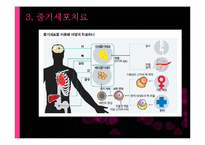 [생명공학] 소비생활과 관련된 생명공학 기술의 발전과 활용-13