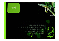 [생명공학] 소비생활과 관련된 생명공학 기술의 발전과 활용-15