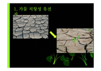 [생명공학] 소비생활과 관련된 생명공학 기술의 발전과 활용-16