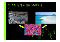 [생명공학] 소비생활과 관련된 생명공학 기술의 발전과 활용-17