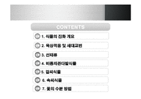 [생명과학] 식물의 진화-2