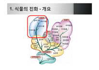 [생명과학] 식물의 진화-3