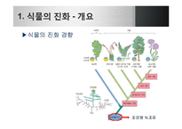 [생명과학] 식물의 진화-4