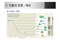 [생명과학] 식물의 진화-5