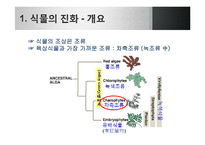 [생명과학] 식물의 진화-6