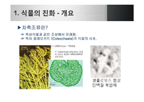 [생명과학] 식물의 진화-7