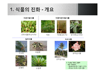 [생명과학] 식물의 진화-8