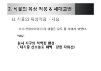 [생명과학] 식물의 진화-13