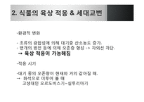 [생명과학] 식물의 진화-14