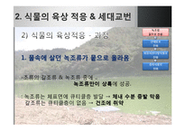[생명과학] 식물의 진화-15
