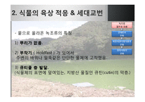 [생명과학] 식물의 진화-16