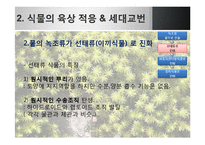 [생명과학] 식물의 진화-17