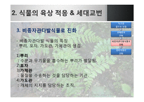 [생명과학] 식물의 진화-18