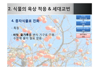 [생명과학] 식물의 진화-19