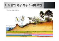 [생명과학] 식물의 진화-20
