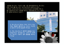 [간호학] 간호전문직의 과제와 전망-호스피스 코디네이터-3