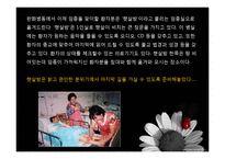 [간호학] 간호전문직의 과제와 전망-호스피스 코디네이터-7