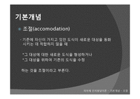 [교육학] 피아제의 인지발달이론-7