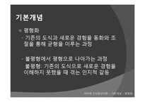 [교육학] 피아제의 인지발달이론-8