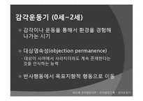 [교육학] 피아제의 인지발달이론-12