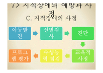 [특수교육] 지적장애의 분류, 원인, 특성 및 예방과 사정-11