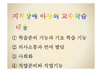 [특수교육] 지적장애의 분류, 원인, 특성 및 예방과 사정-15