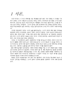 리제 마이트너의 생애와 과학적 업적 및 교훈과 평가-3