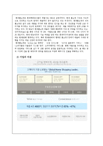 [경영학] 현대 홈쇼핑 분석-3