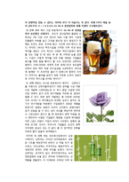 산토리 기업분석-6