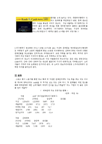 러쉬앤 캐쉬 vs 산와 머니 대부업체 광고 비교-5
