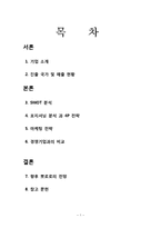 [국제경영사례] 뽀로로의 해외 진출의 성공 요인 분석-1