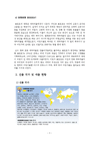 [국제경영사례] 뽀로로의 해외 진출의 성공 요인 분석-3